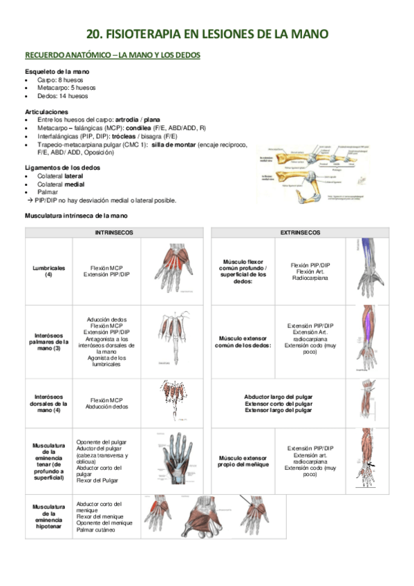 Miniatura del documento 20-y-21.-fisio-lesiones-mano-y-dedos.pdf