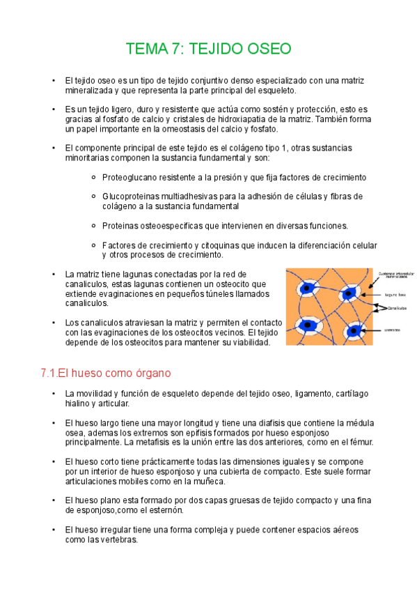 Miniatura del documento Tema-7-Tejido-oseo.pdf
