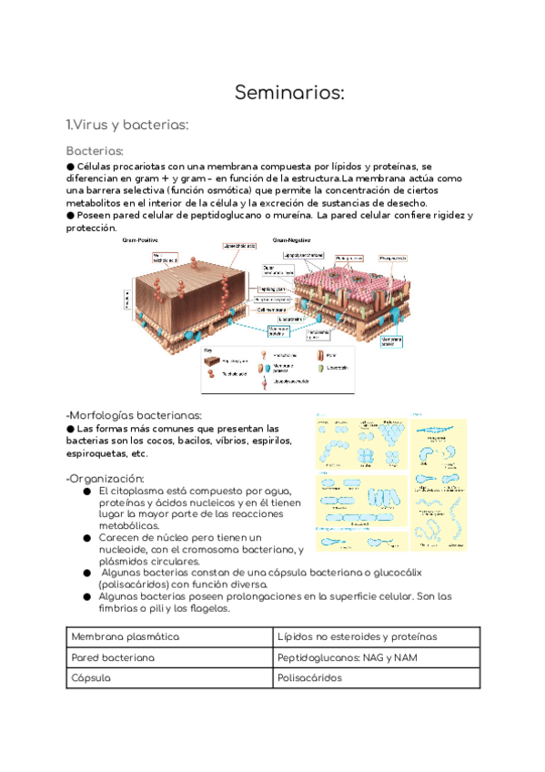 Miniatura del documento Seminarios.docx