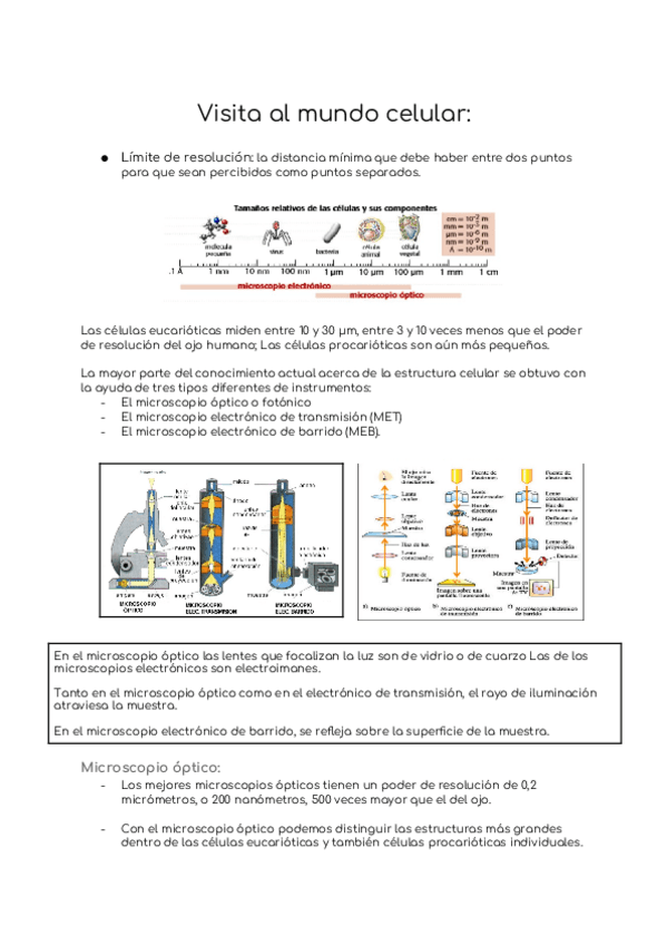 Miniatura del documento Tema-2.docx