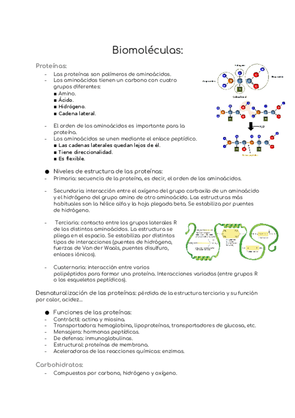 Miniatura del documento Tema-3.1.docx