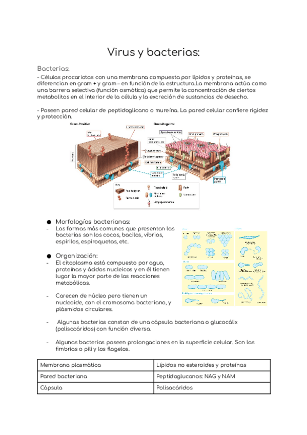 Miniatura del documento Tema-3.3.docx