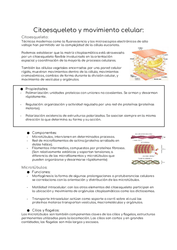 Miniatura del documento Tema-5.docx