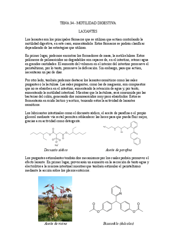 Miniatura del documento 34.-Motilidad-Intestinal.pdf