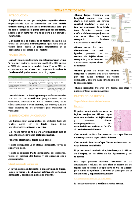 Miniatura del documento Tema 7 biología tisular, Tejido óseo.pdf
