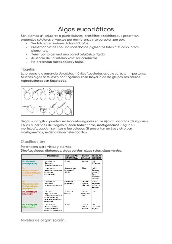 Miniatura del documento Tema-3.docx