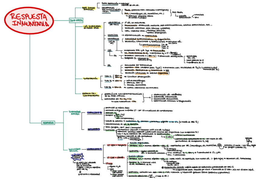 Miniatura del documento Esquema-Respuesta-Inmunitaria.pdf