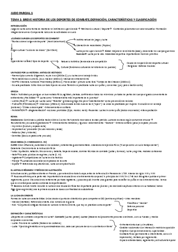 Miniatura del documento judo-PARCIAL-2.pdf