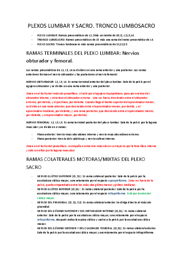 Miniatura del documento PLEXOS LUMBAR Y SACRO.pdf