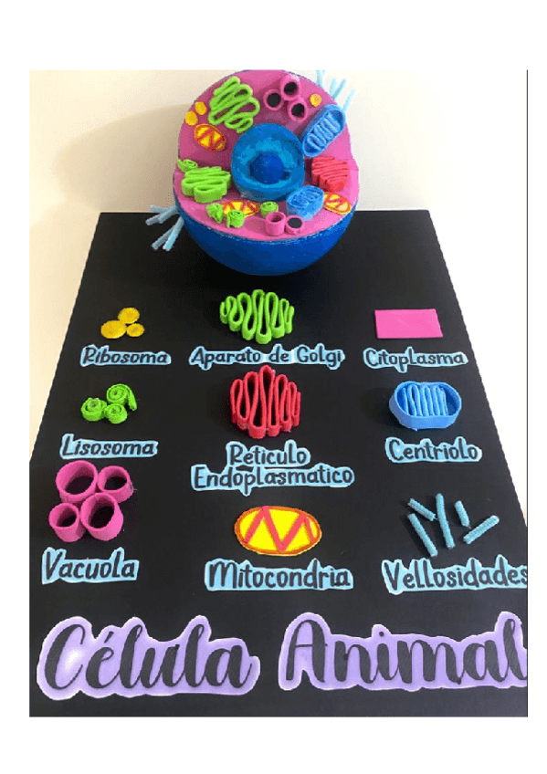 Miniatura del documento Maqueta-Celula-Animal.pdf