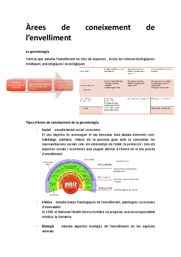Miniatura del documento Arees-de-coneixement-de-la-vellesa.pdf