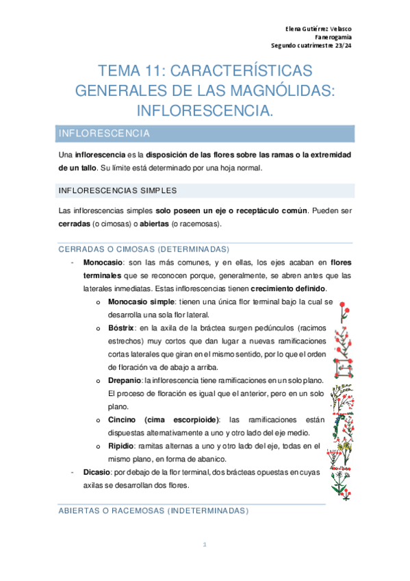 Miniatura del documento tema-11-inflorescencias.pdf