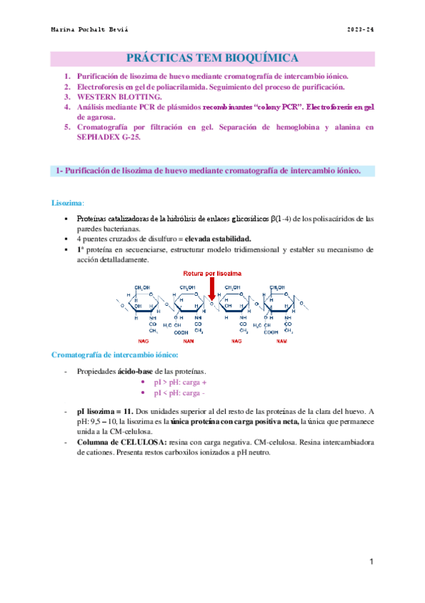Miniatura del documento Prácticas-TEM-Bioquimica.pdf