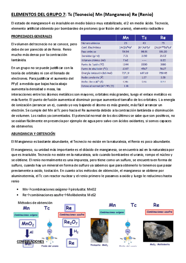 Miniatura del documento elementos-del-grupo-7-apuntes-2024.pdf