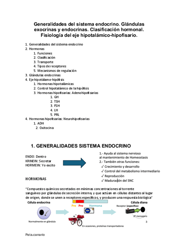 Miniatura del documento Generalidades-del-sistema-endocrino.pdf