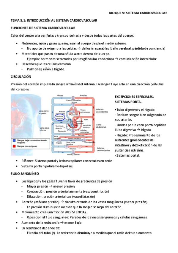 Miniatura del documento BLOQUE-V.pdf