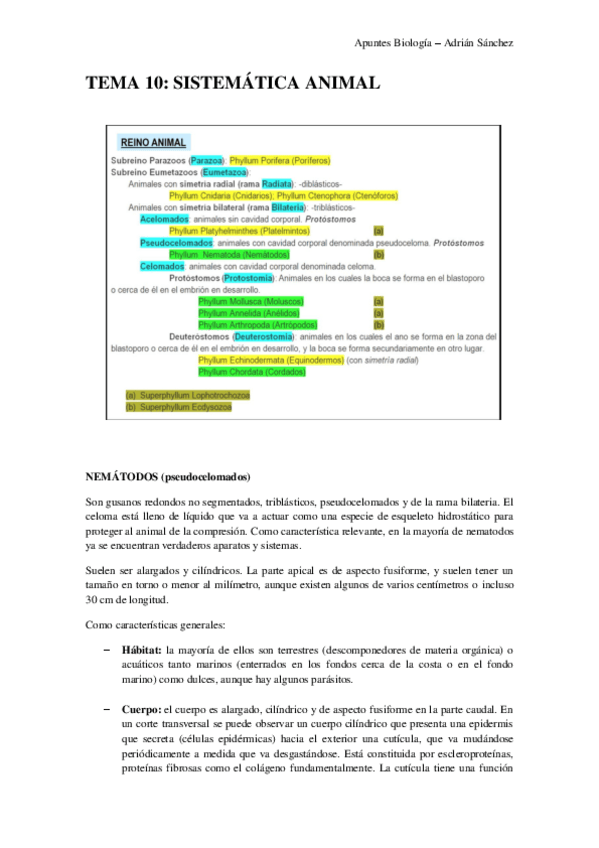 Miniatura del documento TEMA 10 Biología.pdf