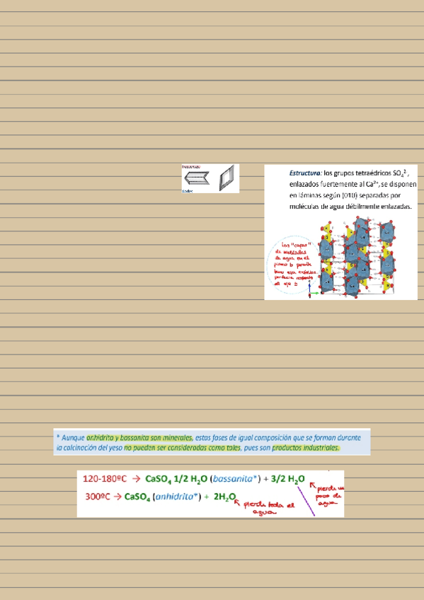 Miniatura del documento Resumen-tema-14.pdf