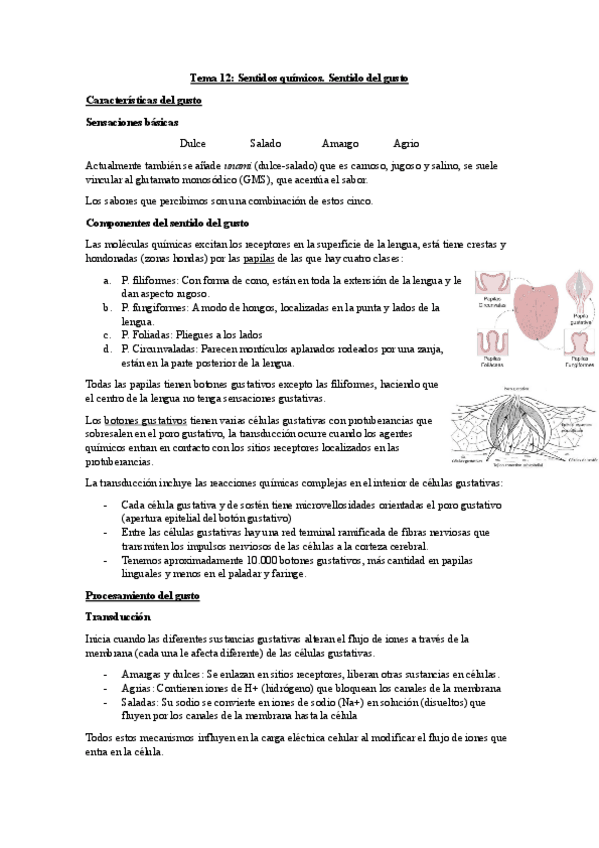 Miniatura del documento Tema-12-Psicologia-de-la-Percepcion.pdf