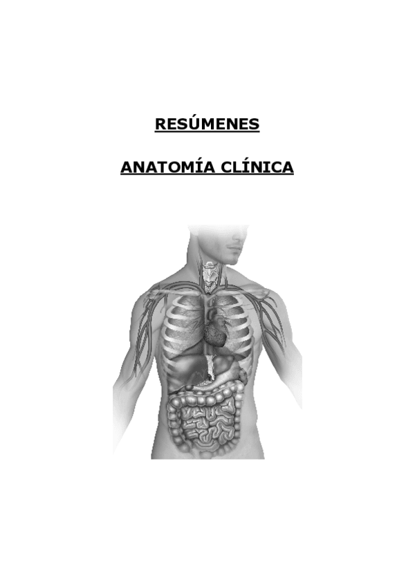 Miniatura del documento RESUMENES-TODO-ANATOMIA-CLINICA.pdf