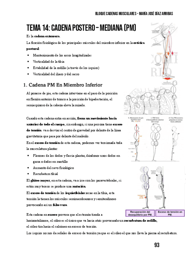 Miniatura del documento Tema-14.-Cadena-Postero-Mediana.pdf