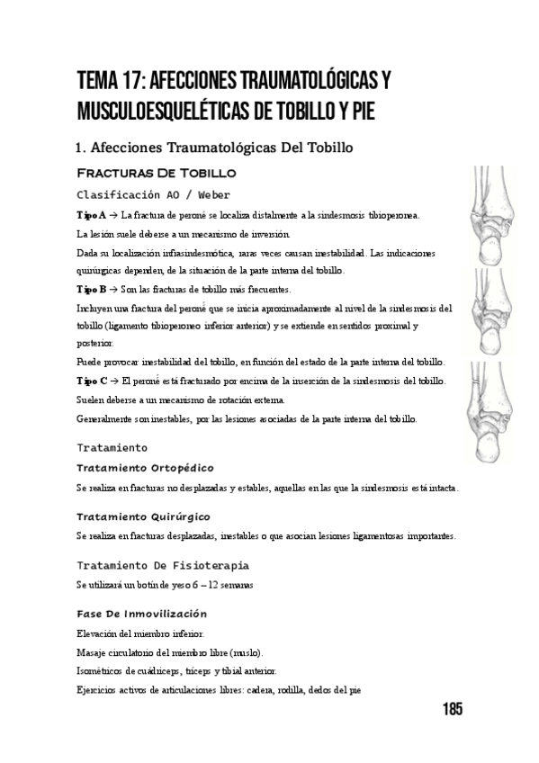Miniatura del documento Tema-17.-Afecciones-Traumatologicas-De-Tobillo-Y-Pie.pdf
