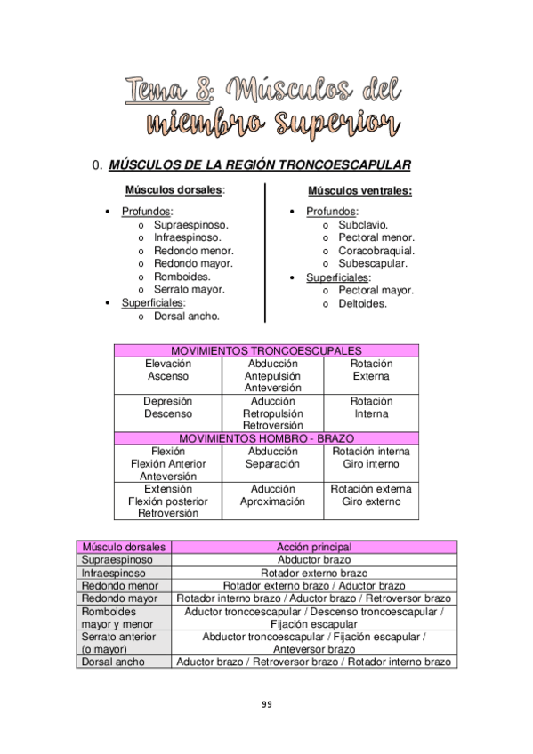 Miniatura del documento TEMA-8.-MUSCULOS-DEL-MIEMBRO-SUPERIOR.pdf
