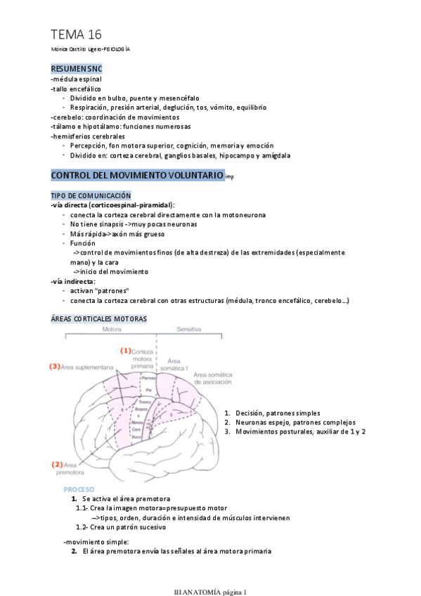 Miniatura del documento TEMA-16.pdf