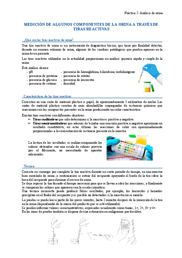 Miniatura del documento Practica-orina.pdf
