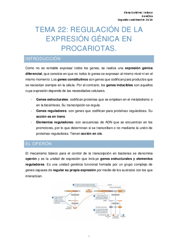 Miniatura del documento tema-22-regulacion-expresion-genica-en-procariotas.pdf