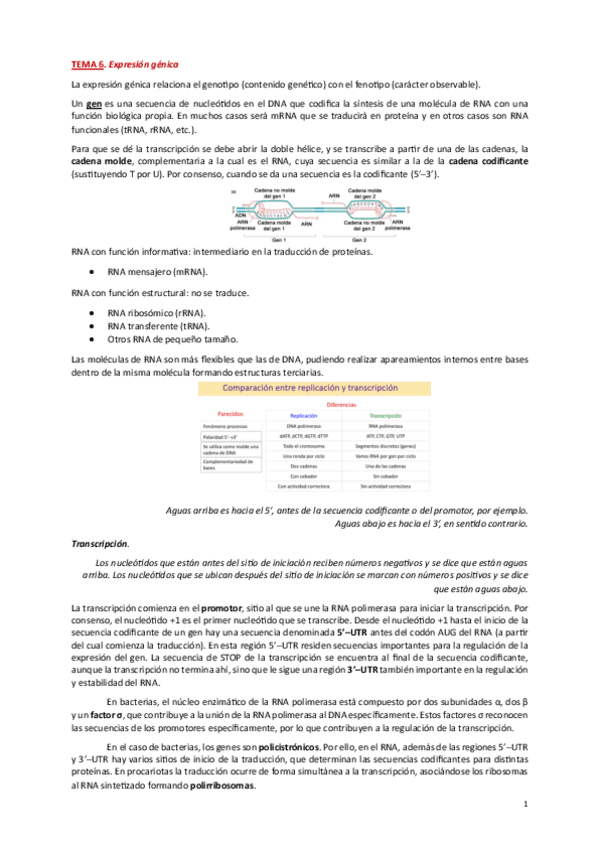 Miniatura del documento TEMAS-6-9-2o-PARCIAL.pdf