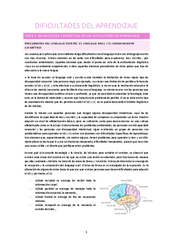 Miniatura del documento Dificultades-del-Aprendizaje.pdf