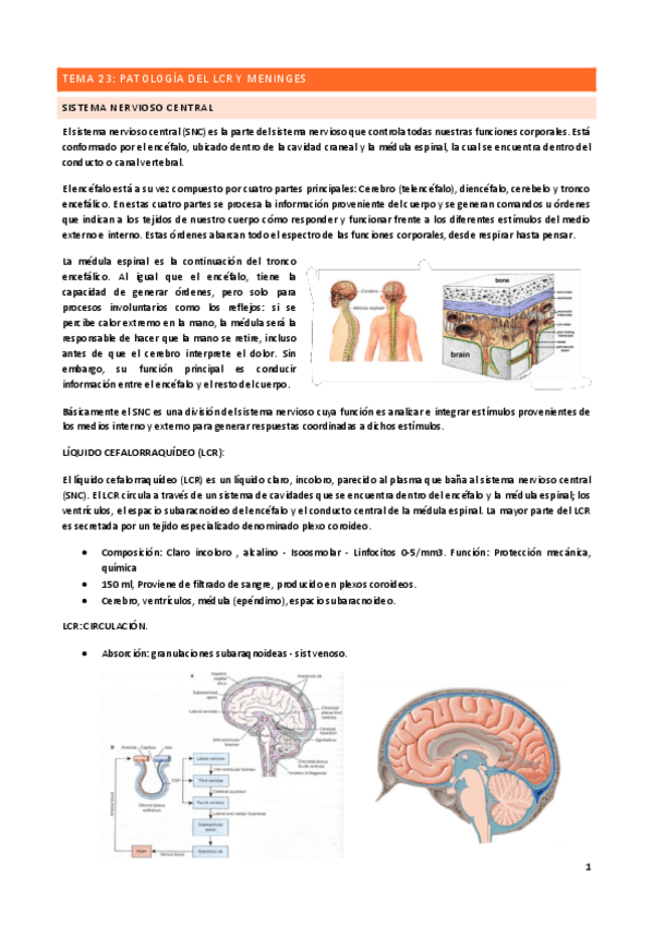 Miniatura del documento Tema-23.pdf