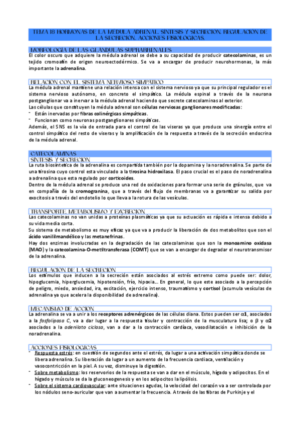 Miniatura del documento TEMA-18-HORMONAS-DE-LA-MEDULA-ADRENAL.-SINTESIS-Y-SECRECION.-REGULACION-DE-LA-SECRECION.-ACCIONES-FISIOLOGICAS..pdf