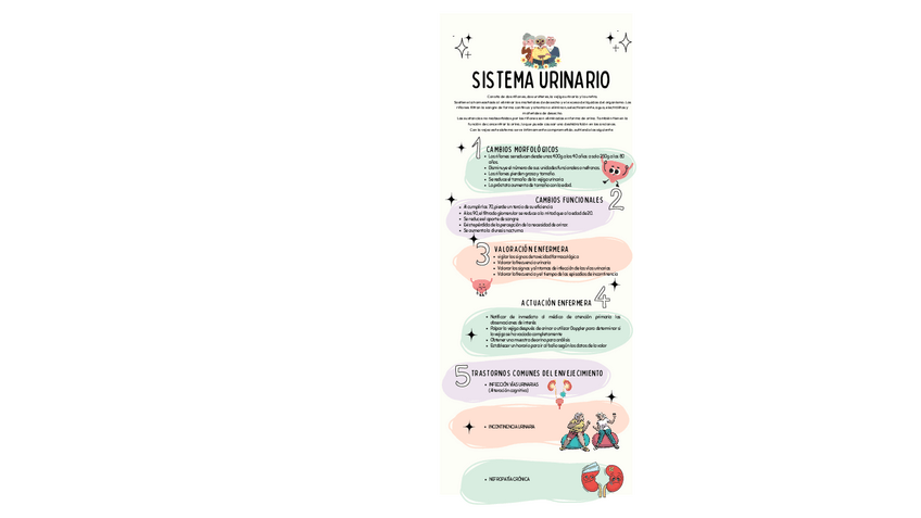 Miniatura del documento Poster-informativo-sobre-Sistema-urinario.pdf