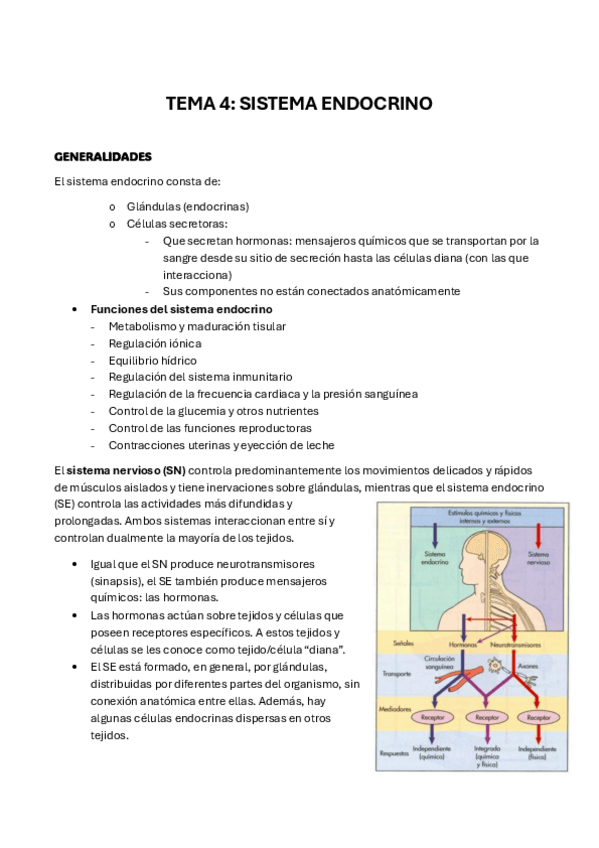 Miniatura del documento fisiologia-tema-4.pdf