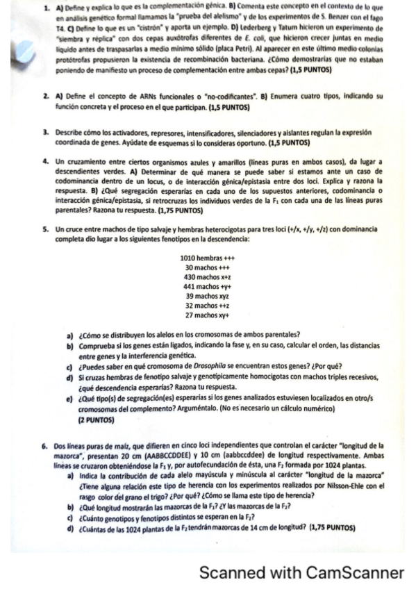 Miniatura del documento EXAMEN-GENETICA-primer-cuatri.pdf
