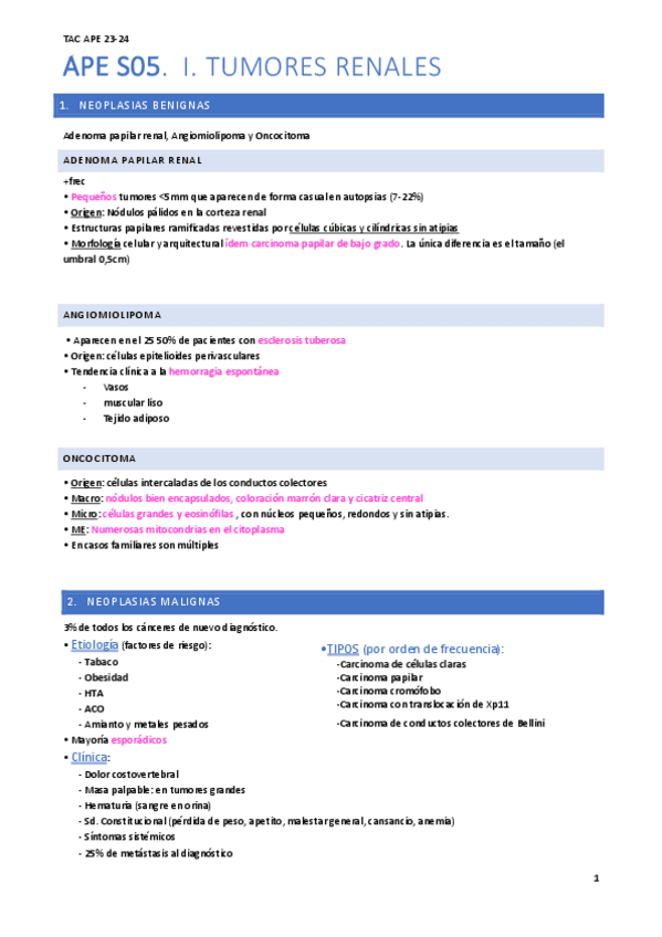 Miniatura del documento APE-SEMINARIO-05-TUMORES-RENALES.pdf