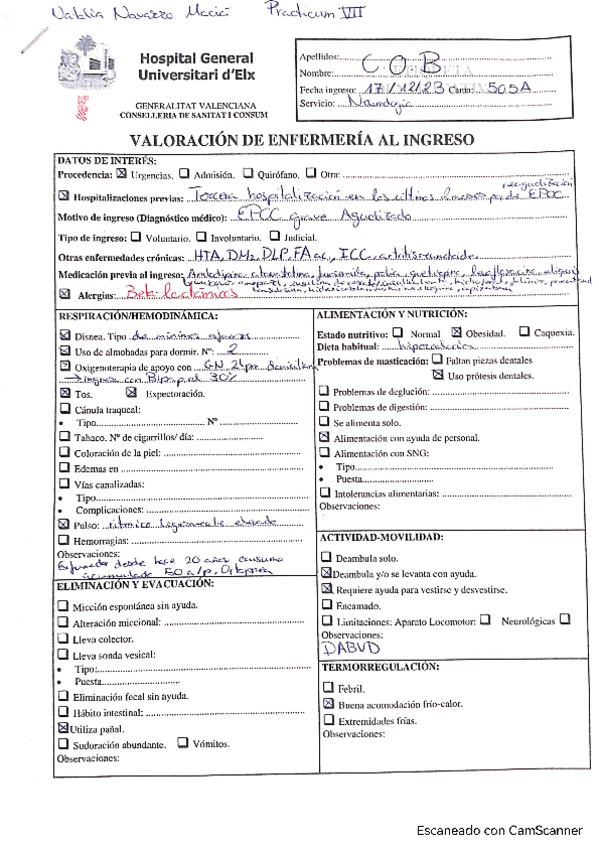 Miniatura del documento NavarroNataliaPracticumVII.pdf