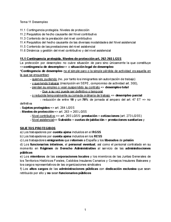 Miniatura del documento DSS-11.pdf