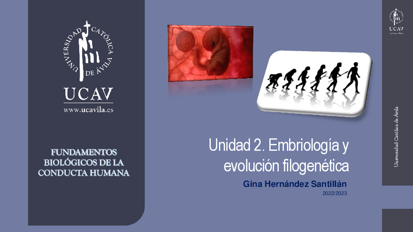 Miniatura del documento Tema-2.-EMBRIOLOGIA-Y-EVOLUCION-FILOGENETICA.pdf