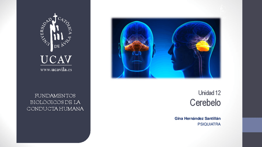 Miniatura del documento Tema-12.-Cerebelo.pdf