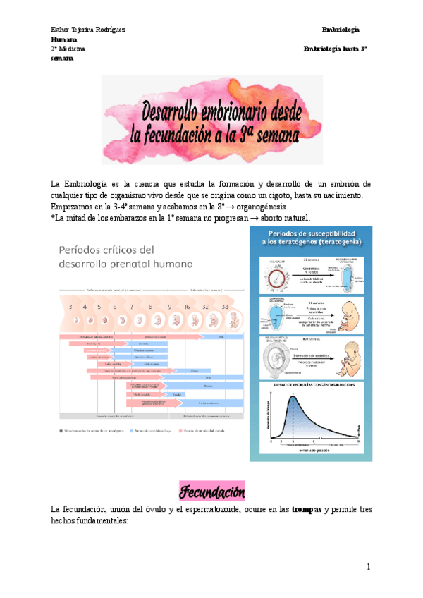 Miniatura del documento 1.-Embriologia-hasta-3a-semana.pdf