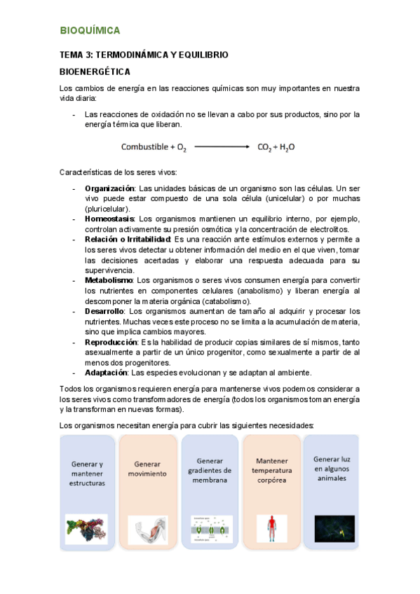 Miniatura del documento tema-3.pdf