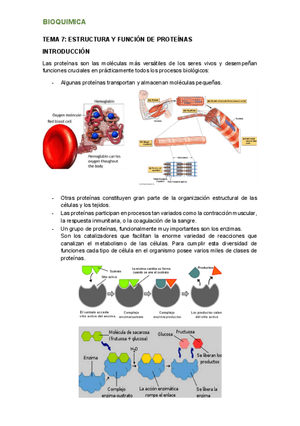 Miniatura del documento tema-7.pdf