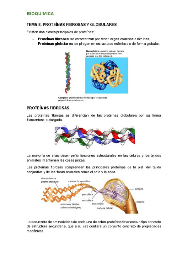 Miniatura del documento tema-8.pdf