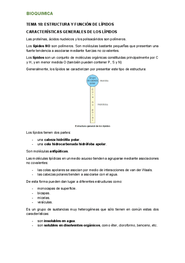 Miniatura del documento tema-10.pdf