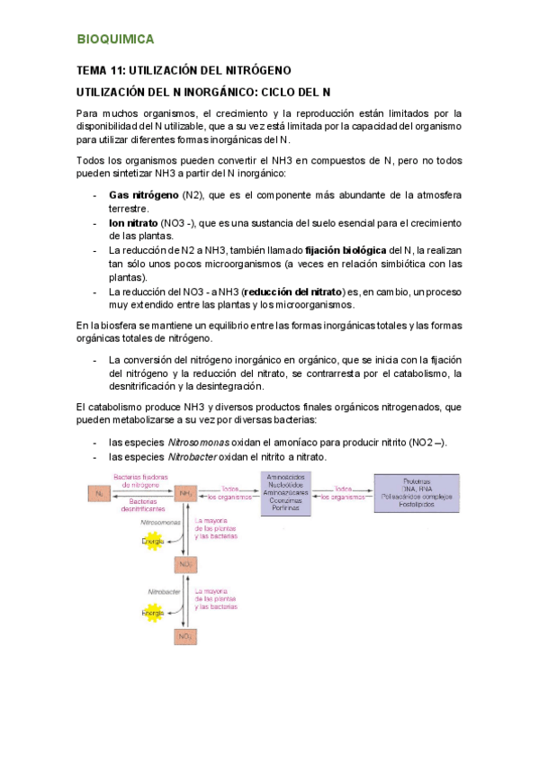 Miniatura del documento tema-11.pdf