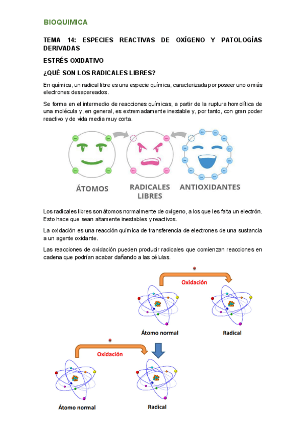 Miniatura del documento tema-14.pdf