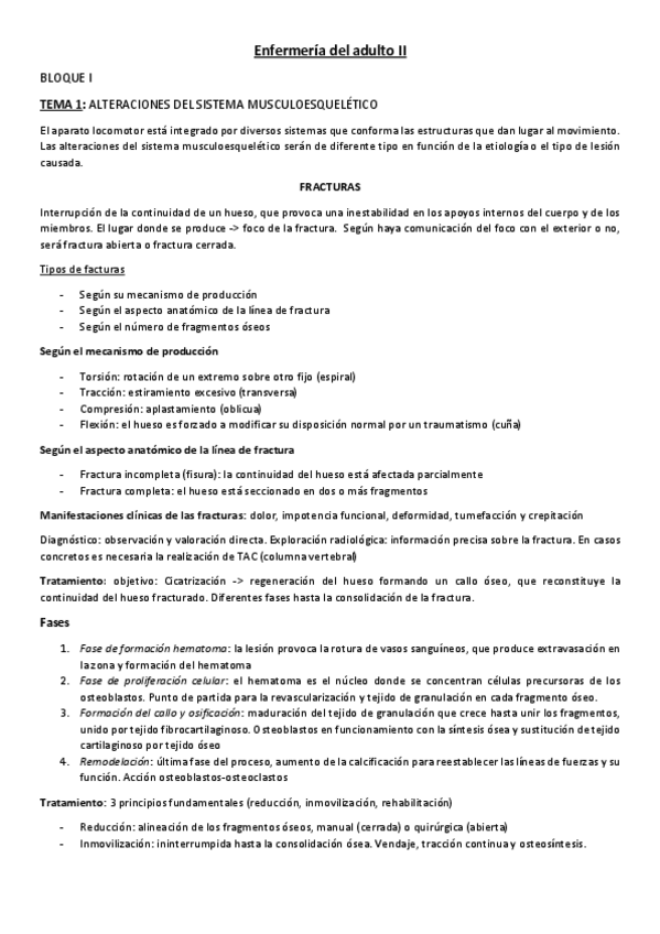 Miniatura del documento Adulto-II-1o.pdf